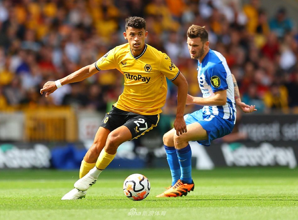 决顶级强者 决顶级强者